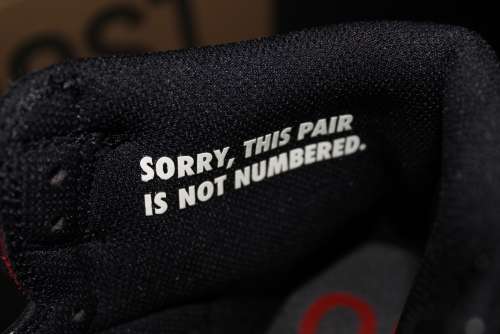 Nike air Jordan 1 not for resale varsity