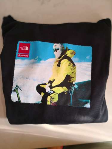 Supreme x The North Face Expedition Hoodie