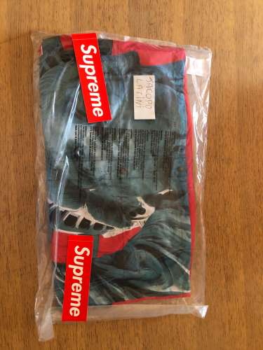 Supreme x the north face mountain jacket red