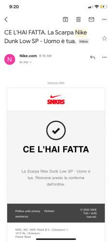 Nike dunk low samba