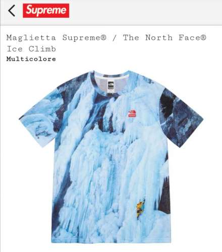 WTS ice climb tee Supreme x The North Face