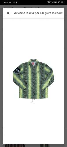 SUPREME THE NORTH FACE SNAKESKIN