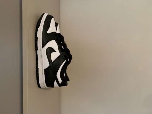Nike dunk black and white