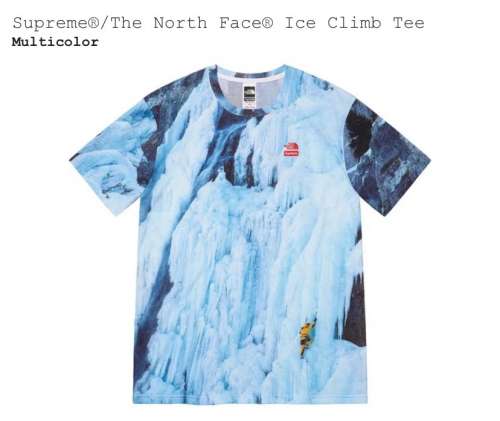 Supreme X The North Face ice tee