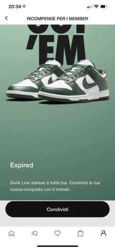 Dunk low michigan state green US12 DS