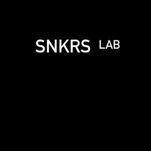 SNKRS_labs